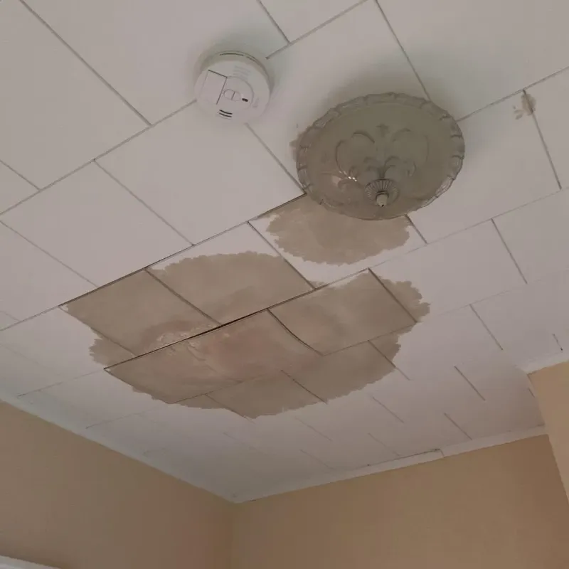 Ceiling Water Damage Repair in Van Vleck, TX