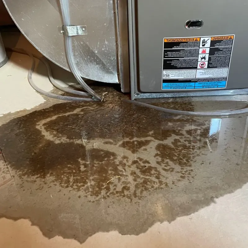 Pipe Burst and Leak Restoration in Van Vleck, TX