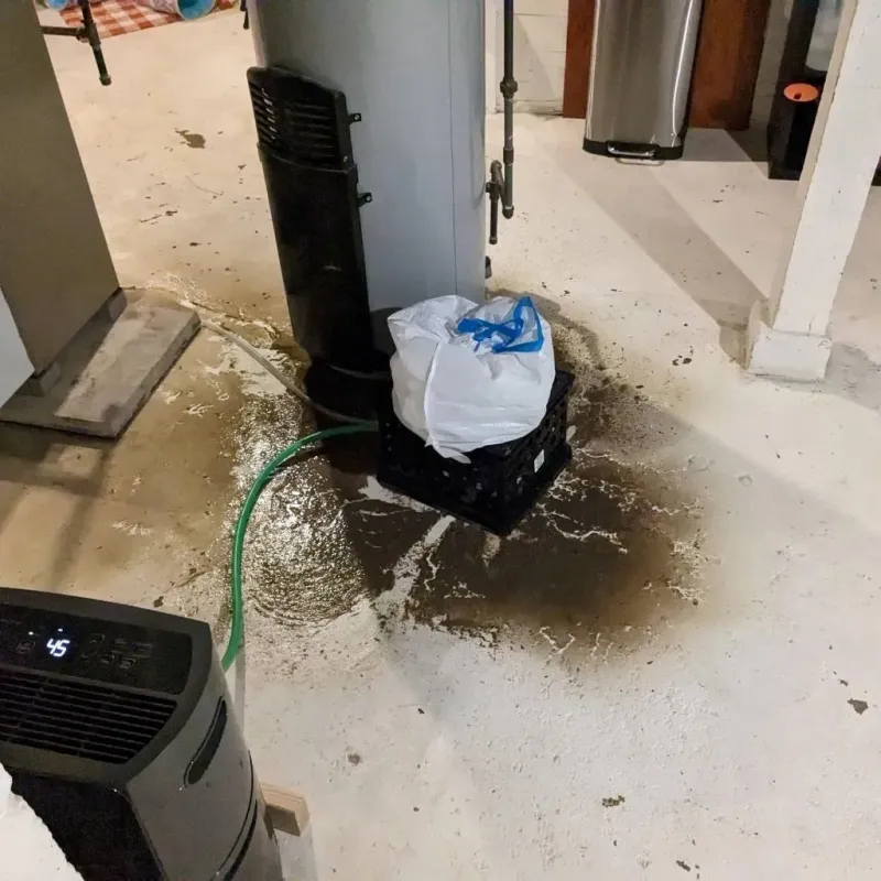 Sewage Backup Cleanup Service in Van Vleck, TX